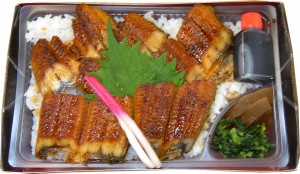 unagi